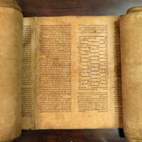 Torah Torah