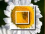 concorso fotografico