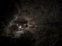 grotta