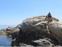 Isola del Giglio