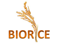 Logo BIORICE