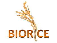 Logo BIORICE Logo BIORICE
