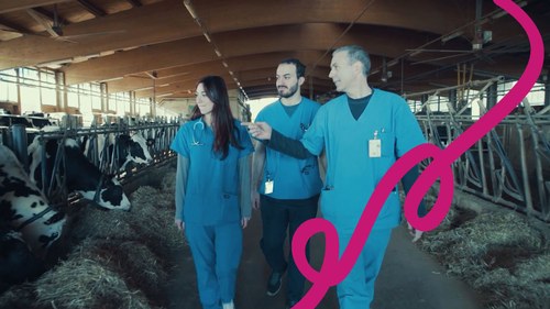 MEDICINA VETERINARIA - Scopri l'ambito disciplinare