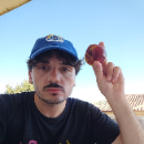 foto della persona