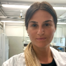 foto della persona