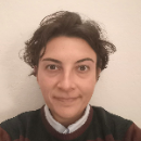 Foto del docente