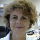 Foto del docente