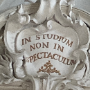 Foto del docente